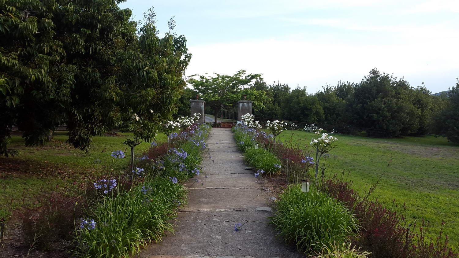 Summerfields Gallery photos videos virtual tours